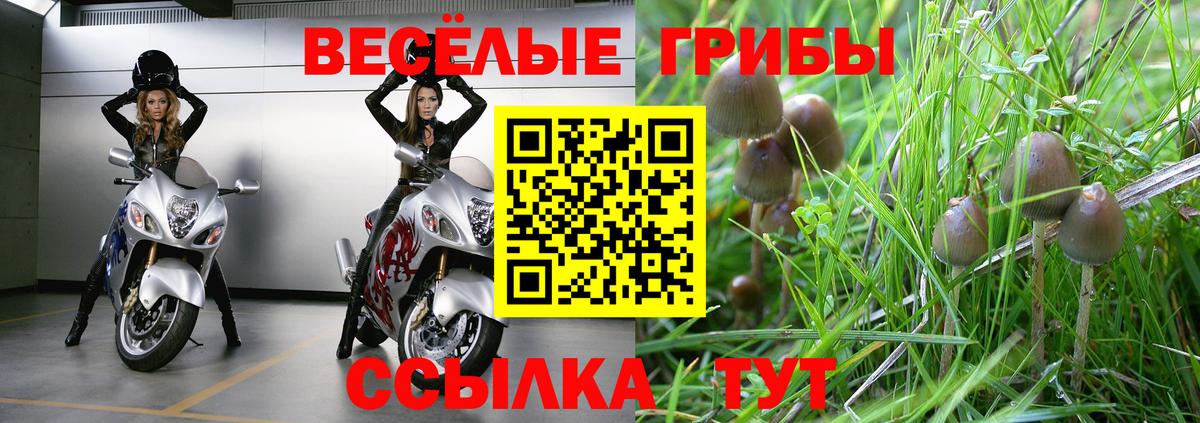 Артёмовский  Галлюциногенные грибы MAGIC MUSHROOMS  магазин  наркотиков  Вход с VPN 