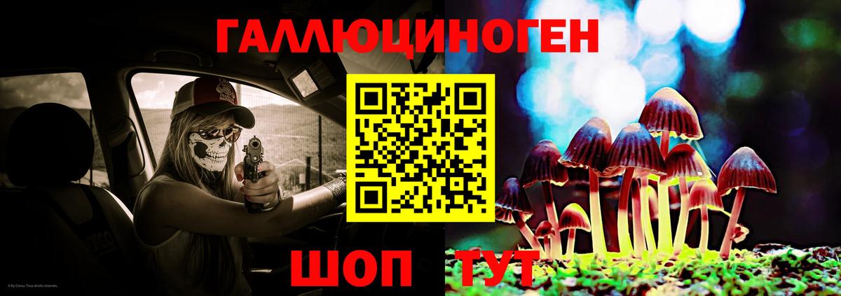 Галлюциногенные грибы прущие грибы  Псилоцибиновые грибы Cubensis  Артёмовский 